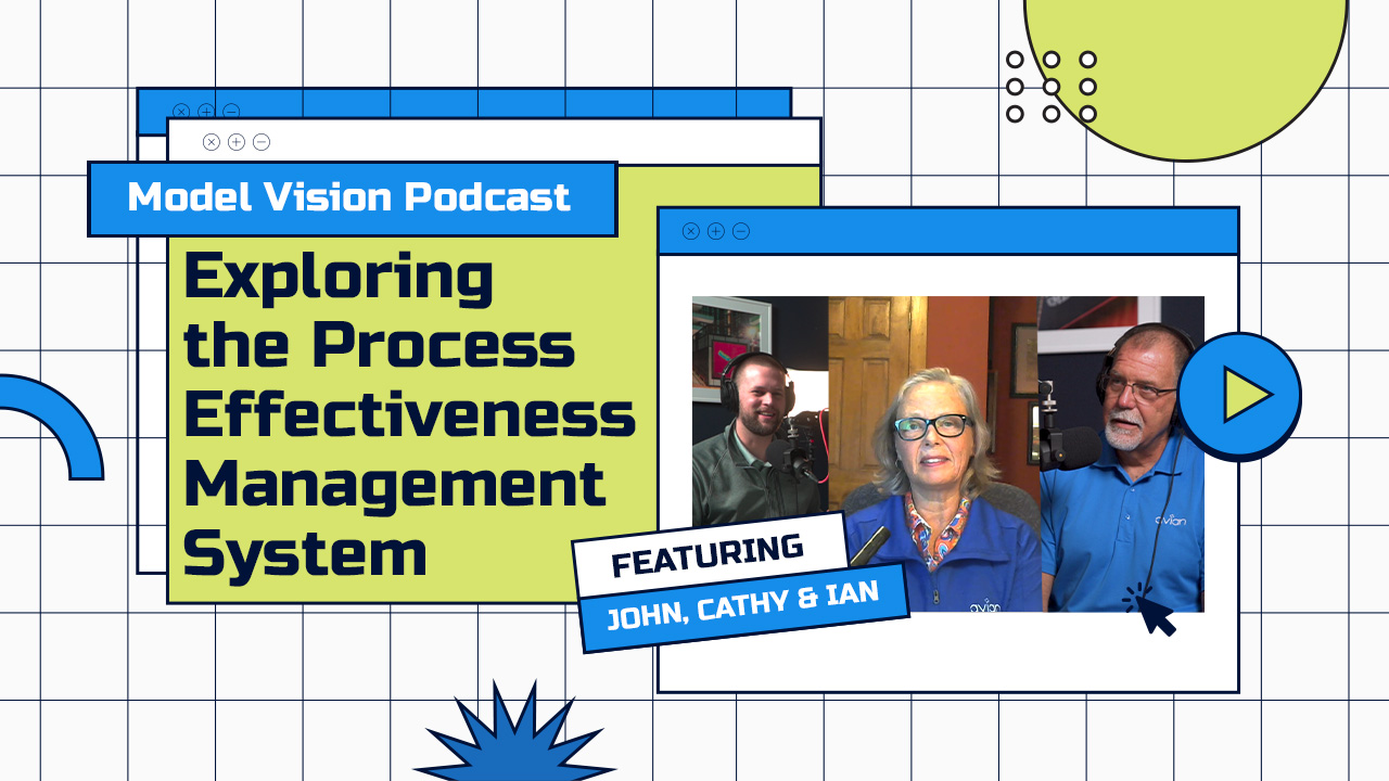 Exploring the Process Effectiveness Management System (PEMS)